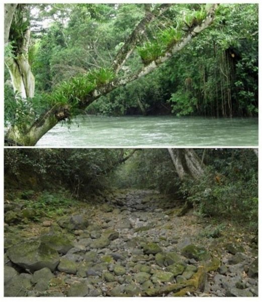 AtoyacScreen_shot_2016_03_04_at_6_56